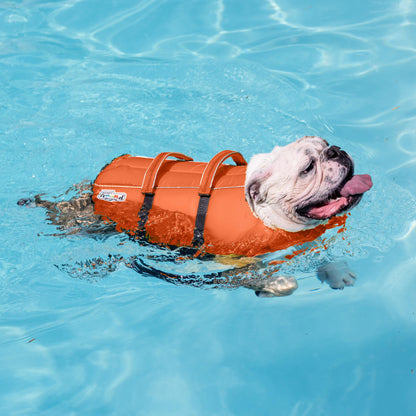 Outward Hound Granby Splash Dog Life Jacket. Chosen for real quality, fits naturally into modern