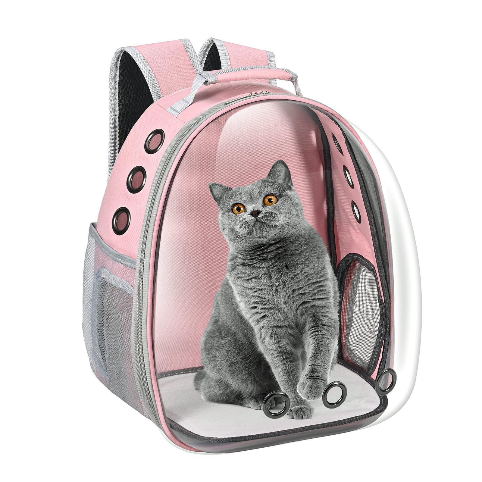 Cat Carrier Backpack. Chosen for real quality, fits naturally into modern pet homes.