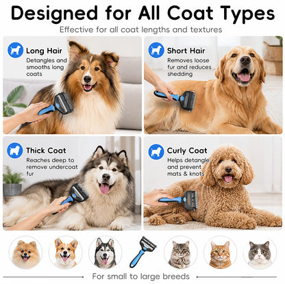 AXEFUN 3. Chosen for real quality, fits naturally into modern pet homes.
