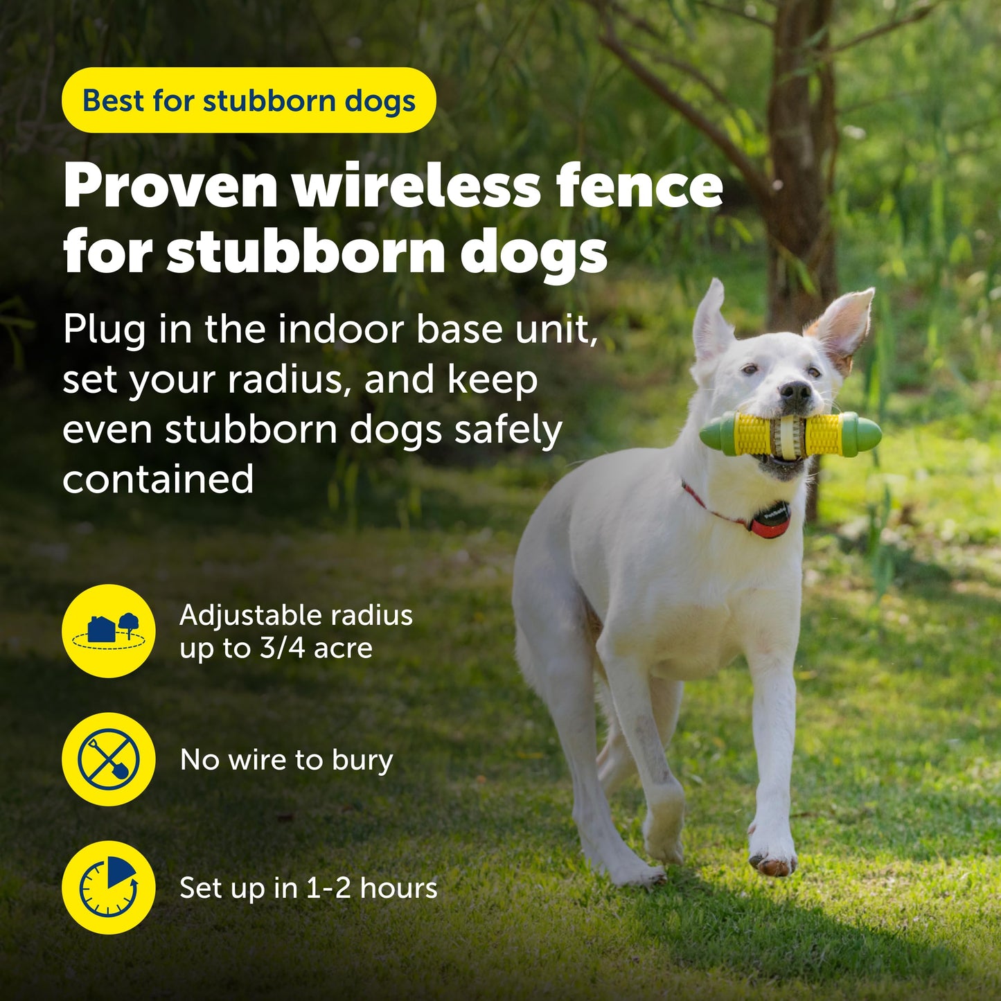 PetSafe Stay & Play Wireless Fence for Stubborn Dogs. Chosen for real quality, fits naturally into