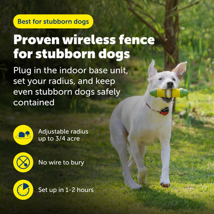 PetSafe Stay & Play Wireless Fence for Stubborn Dogs. Chosen for real quality, fits naturally into