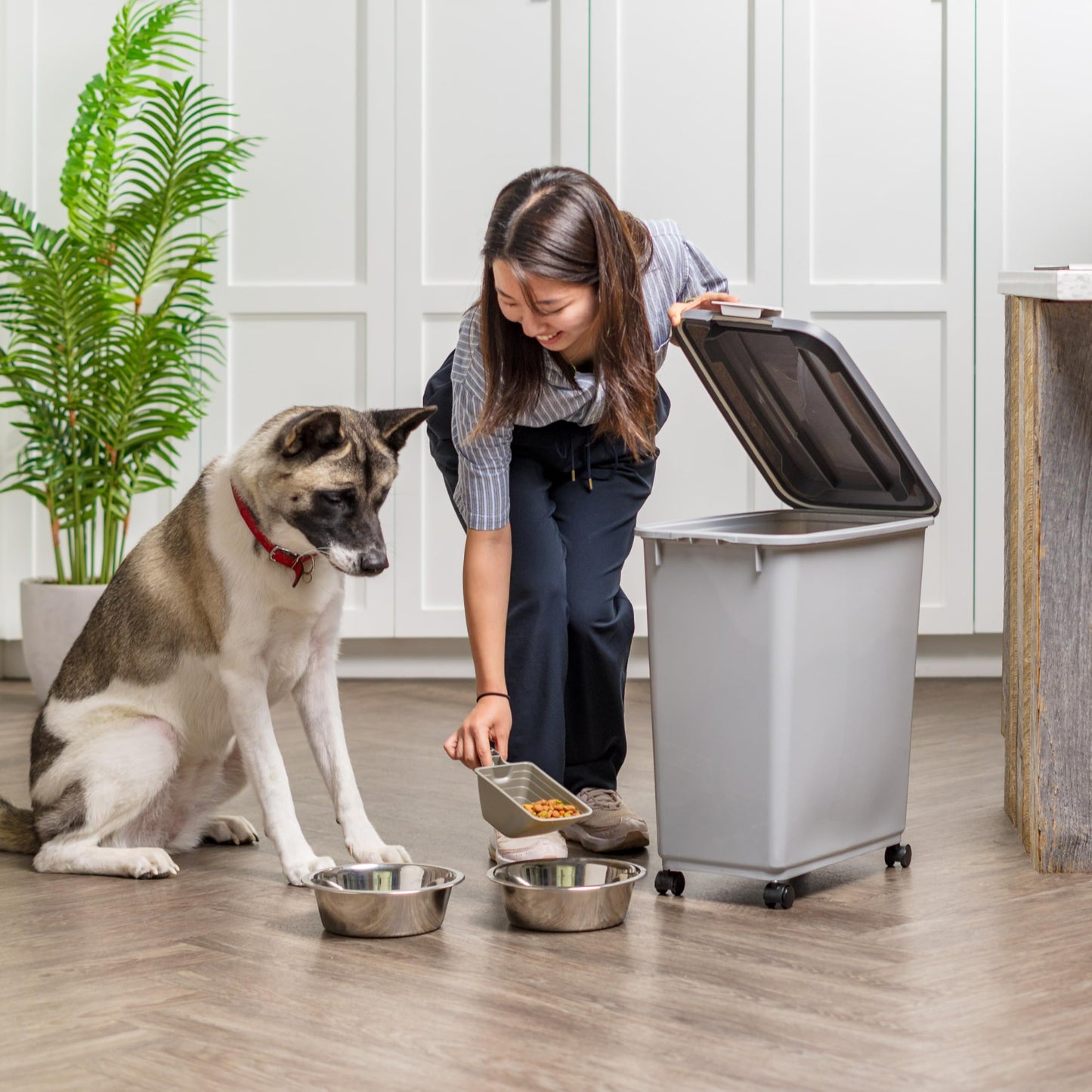 IRIS USA Dog Food Storage Container. Chosen for real quality, fits naturally into modern pet homes.