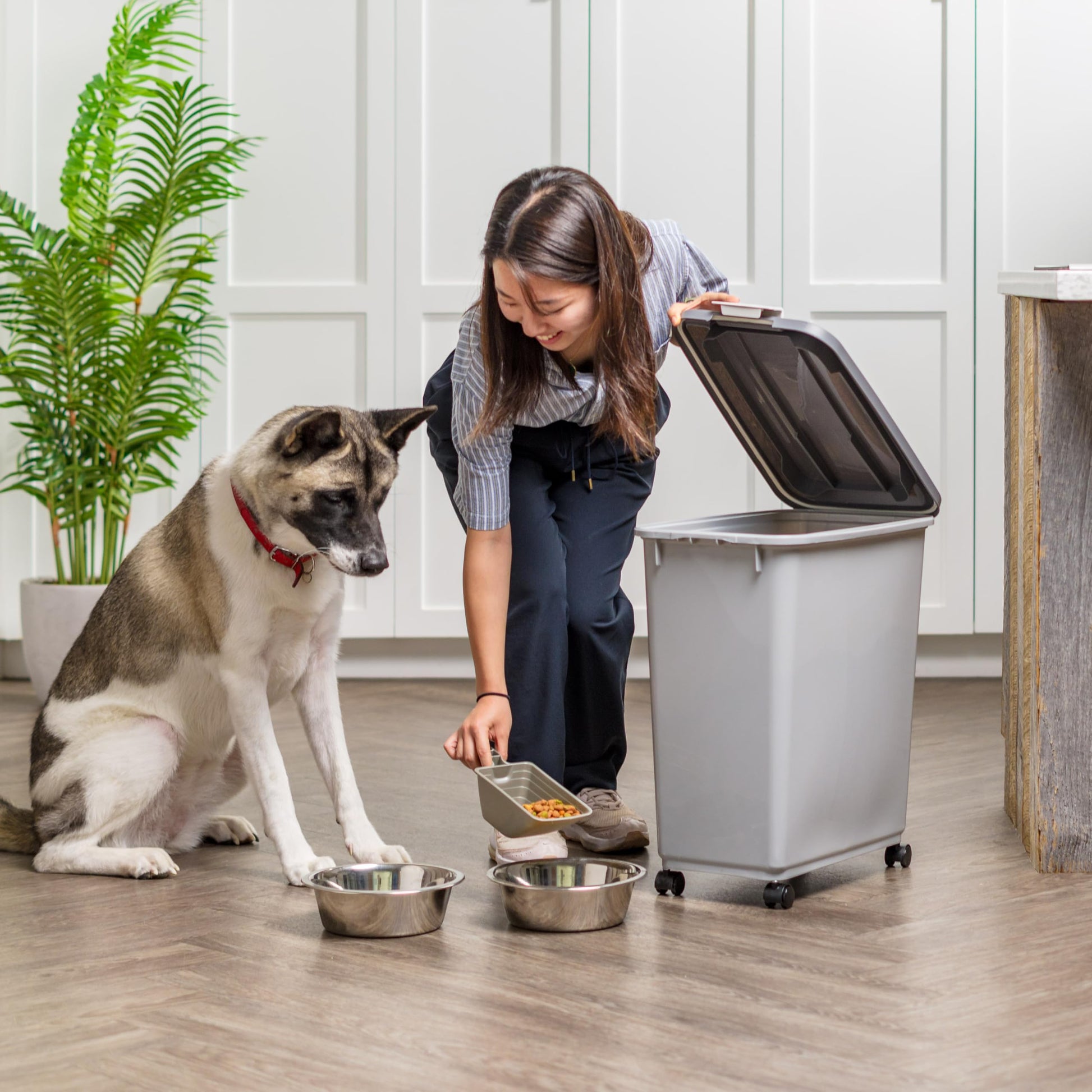 IRIS USA Dog Food Storage Container. Chosen for real quality, fits naturally into modern pet homes.