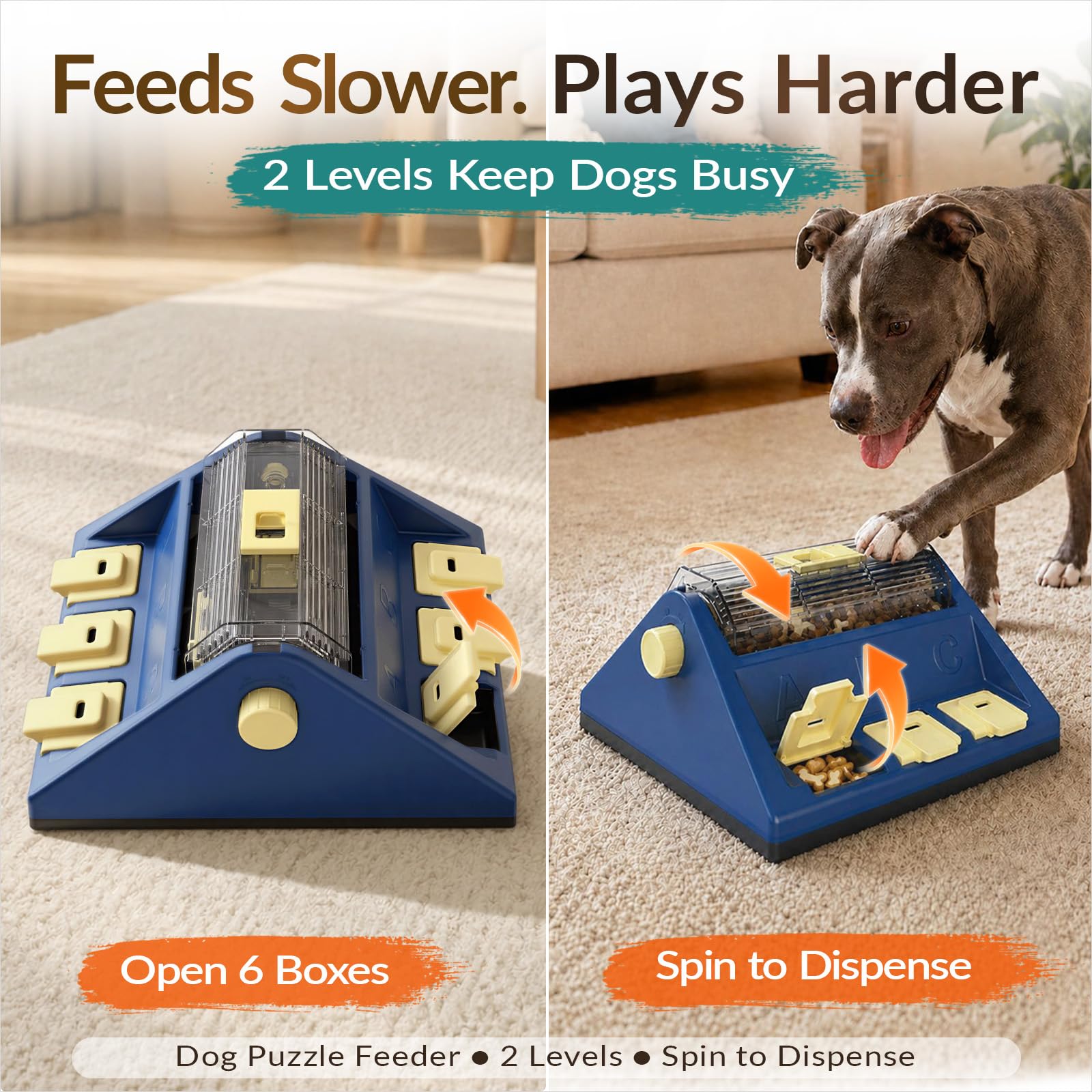 KADTC 2. Chosen for real quality, fits naturally into modern pet homes.