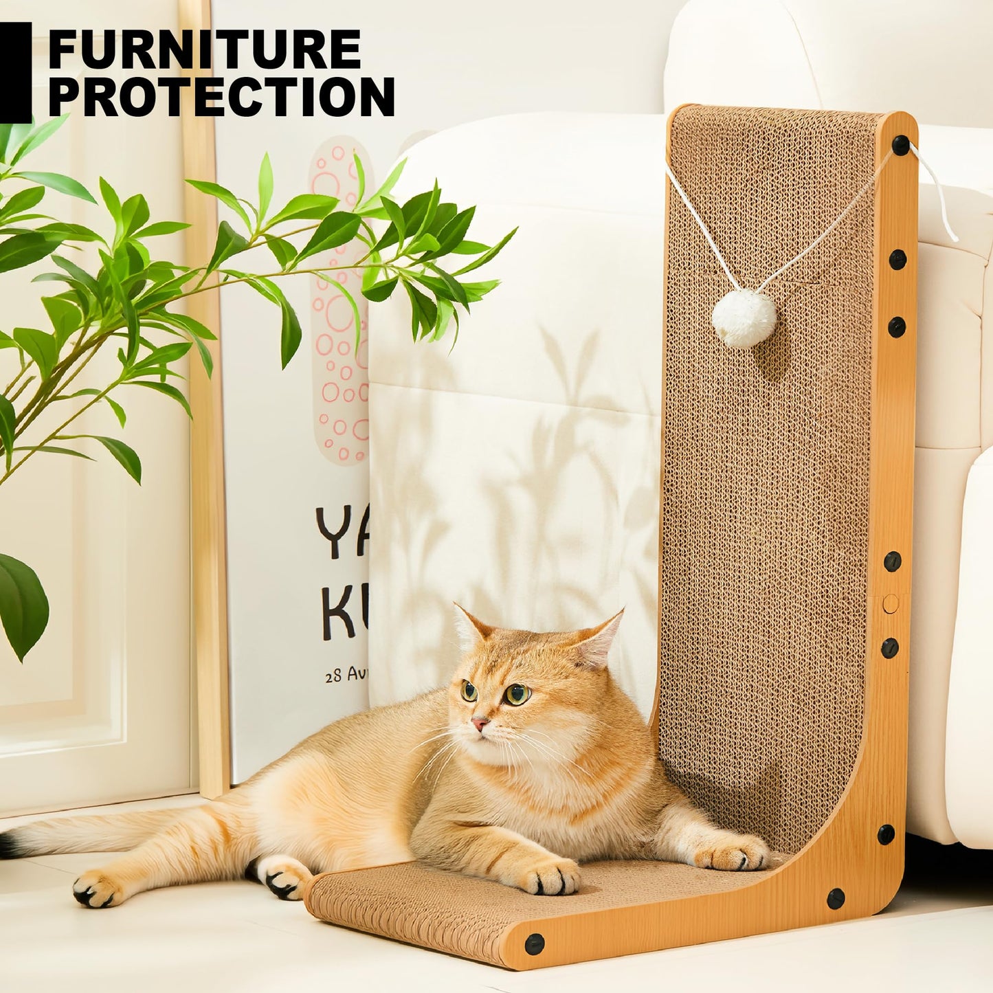 Markarbarka Value 2. Chosen for real quality, fits naturally into modern pet homes.