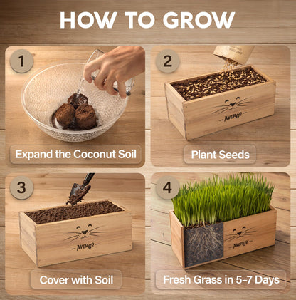 Cat Grass Kit for Indoor Cats. Chosen for real quality, fits naturally into modern pet homes.