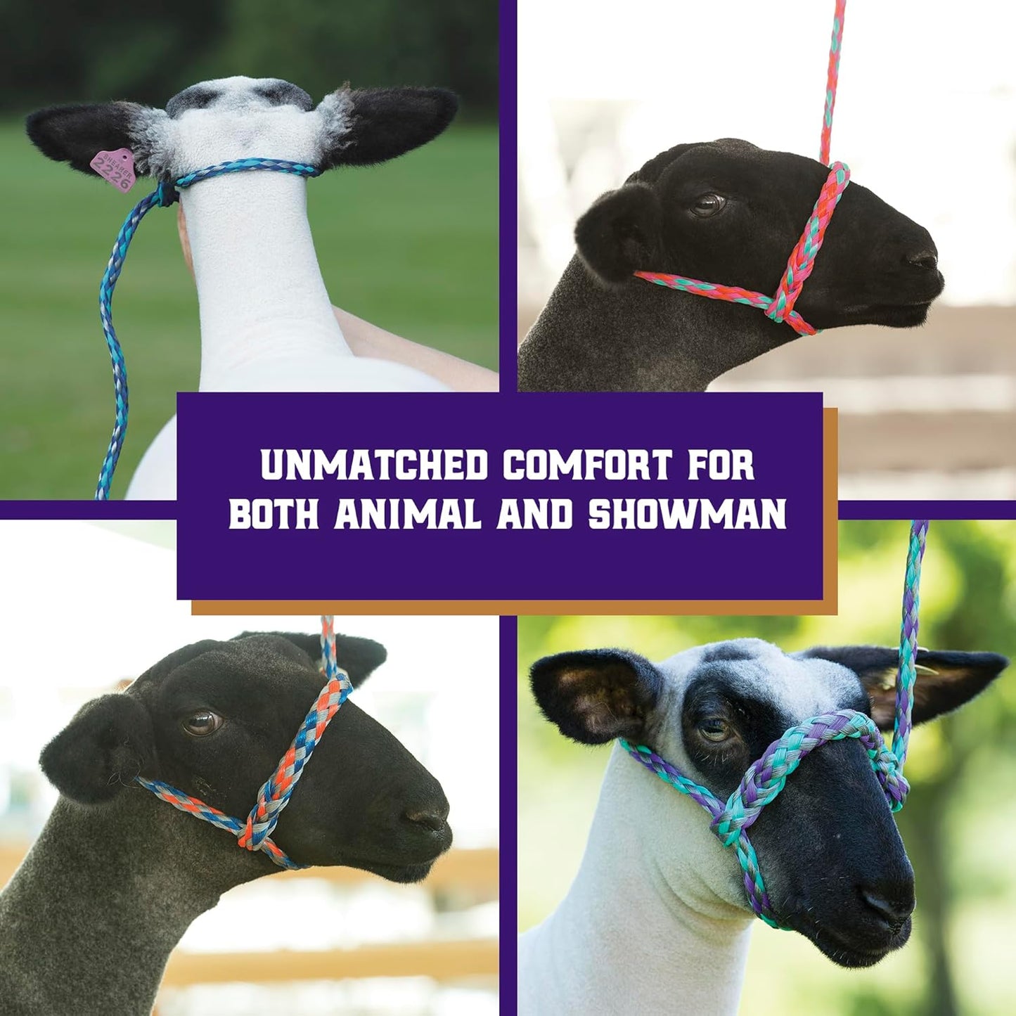 Weaver Leather Poly Rope Sheep Halter, Blue/Mint/Gray