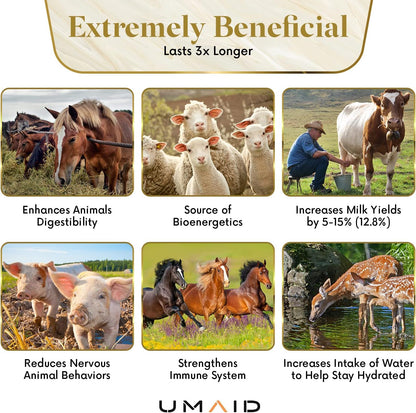 UMAID Himalayan Salt Lick 6 lbs. on Rope for Horses, Deer, Goats, Cow, Sheep, Cattle, Alpacas, and Livestock – Mineral Horse Treats, Natural Himalayan Rock Salt Block for Deer and Horses, 4 Pack