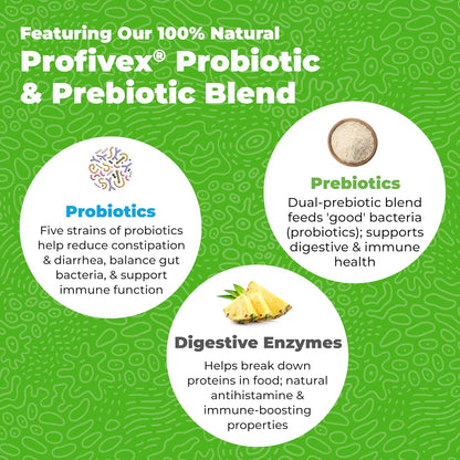Vetnique Glandex Daily Probiotics for Dogs with Prebiotics to Support Gut Health with Fiber and Digestive Enzymes, Probiotic Chews or Powders (60ct Chews, Bacon Chews)