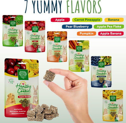 Small Pet Select Healthy Snackers Mini Cookies- Apple Banana, 2 oz (Pack of 2)