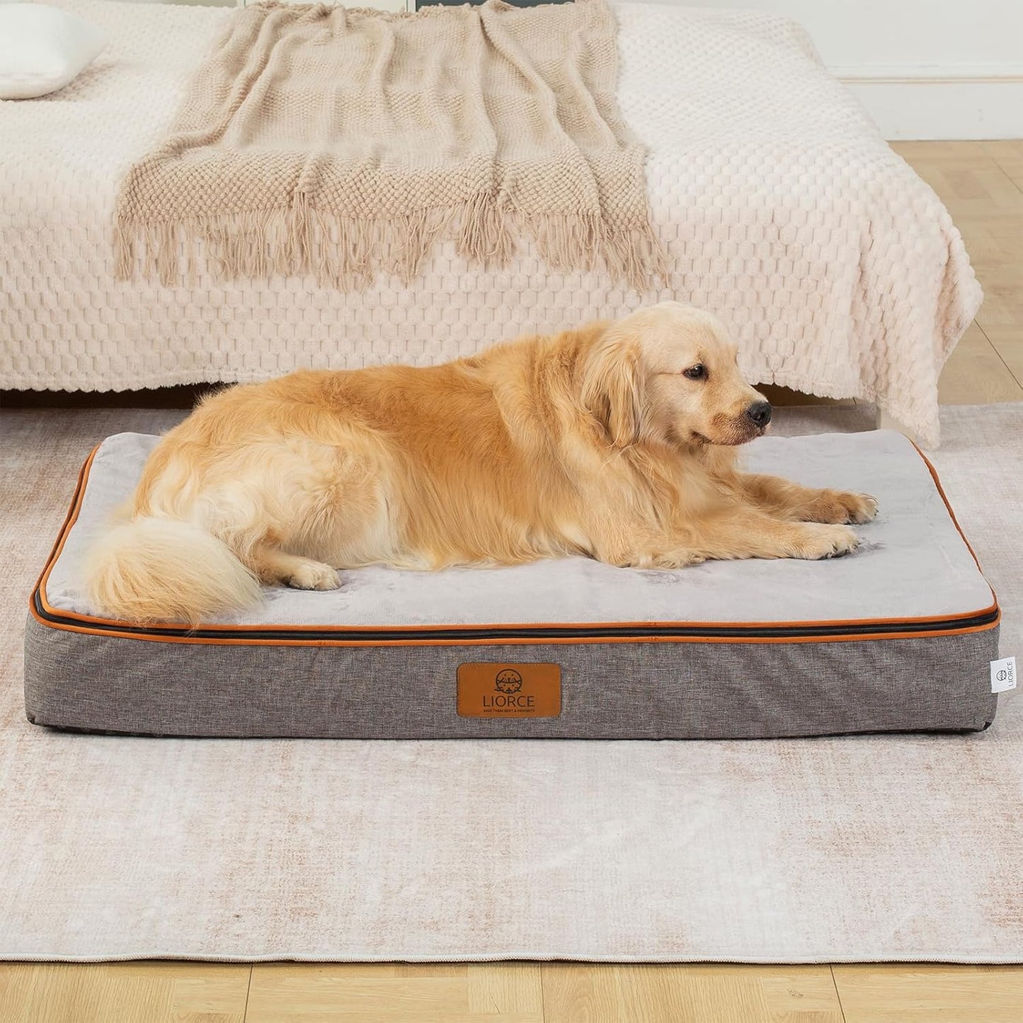 Orthopedic Memory Foam XXL Dog Bed - 6" Thick Beds for Extra Large Sized Dog - Waterproof Removable Washable Cover & Wrap-Around Zipper - Ultimate Comfort & Easy Maintenance, Light Grey