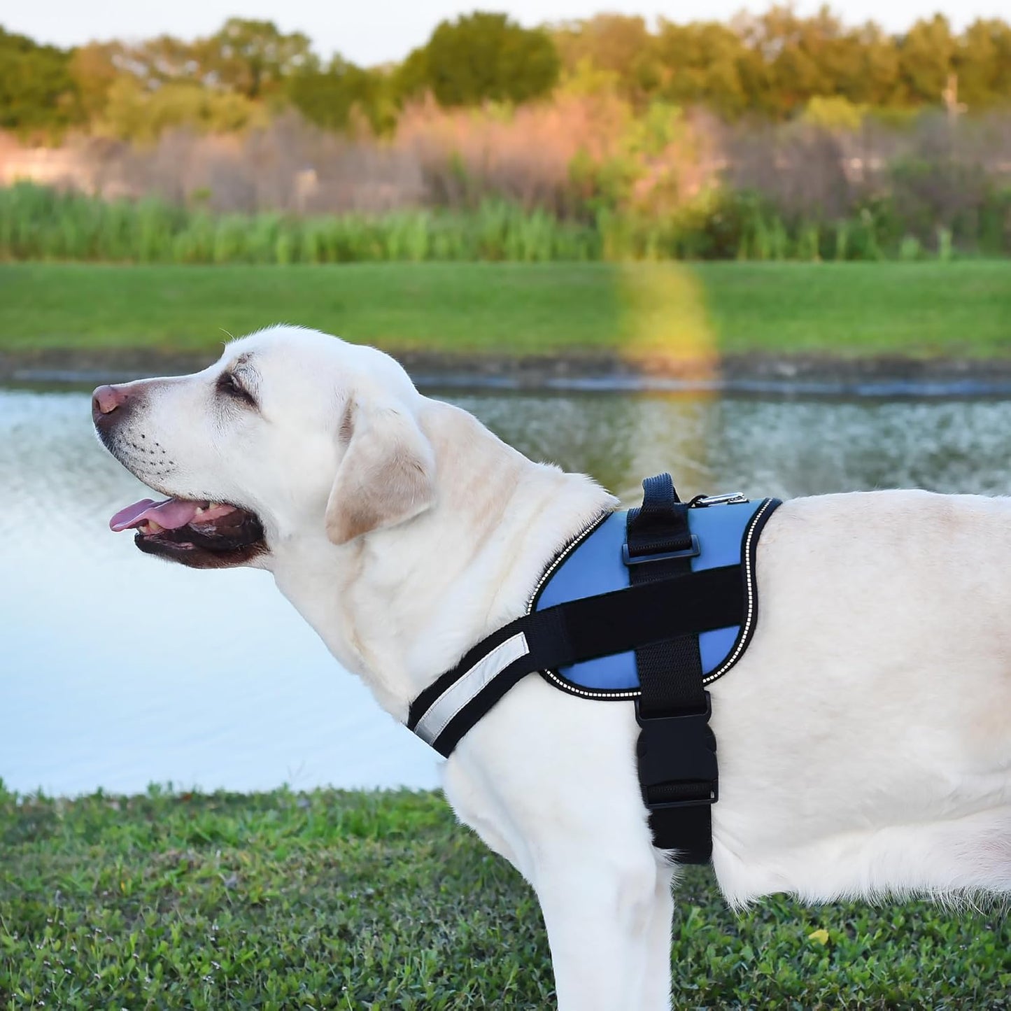 Dogline Dog Harness, Reflective No-Pull Adjustable Vest with Handle for Walking, Training, Breathable, No - Choke Harness for Small, Medium or Large Dogs Room for Patches Girth 22"-28" in Cyan Blue