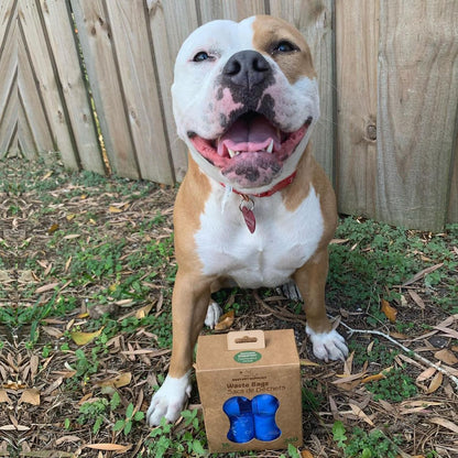 Best Pet Supplies Dog Poop Bags (240 Bags) for Waste Refuse Cleanup, Doggy Roll Replacements for Outdoor Puppy Walking and Travel, Leak Proof and Tear Resistant, Thick Plastic - Blue (Unscented)