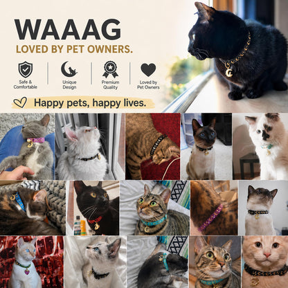 waaag Cat Collars. Chosen for real quality, fits naturally into modern pet homes.