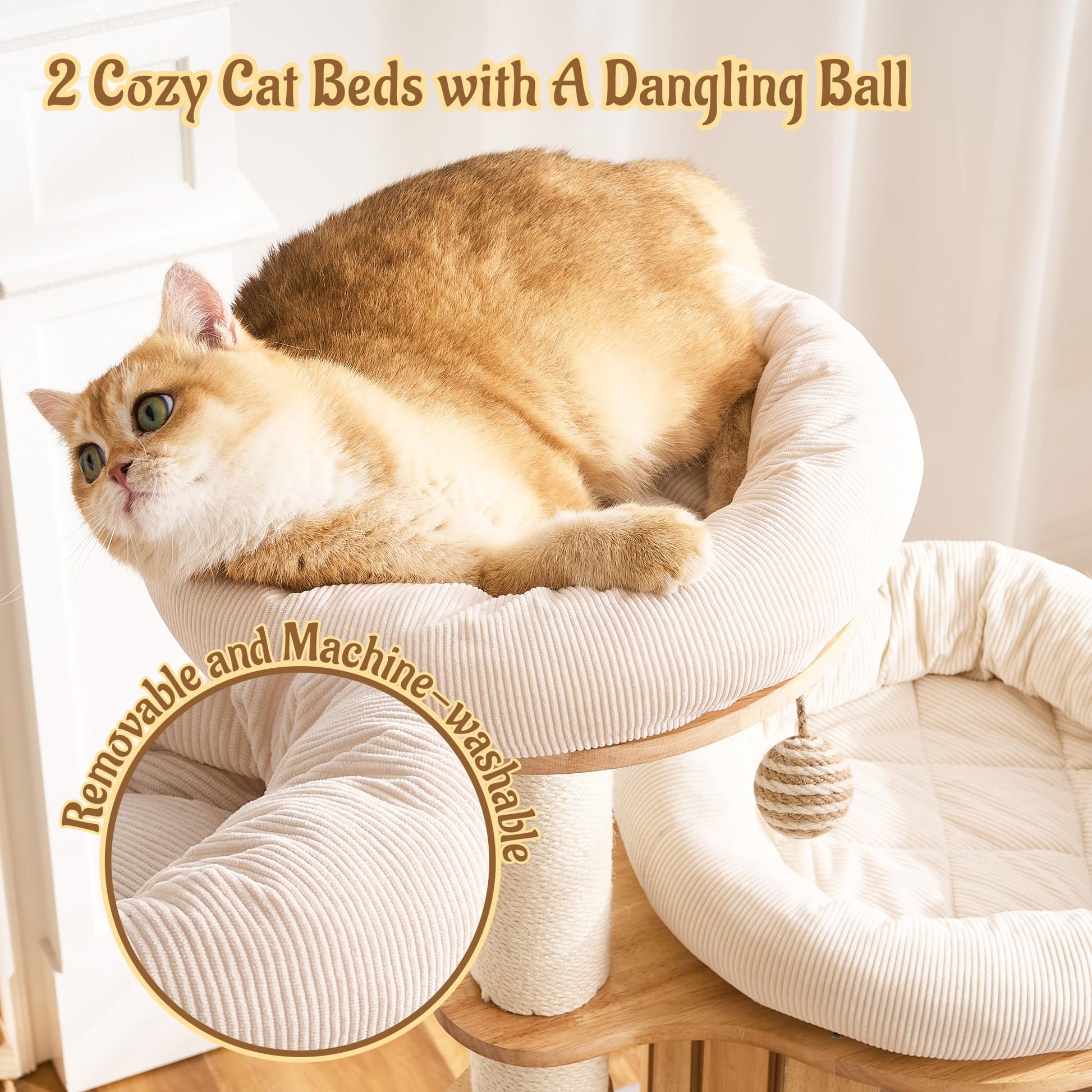 Kicari 50" Modern Cat Tree for Indoor Cats Small to. Chosen for real quality, fits naturally into