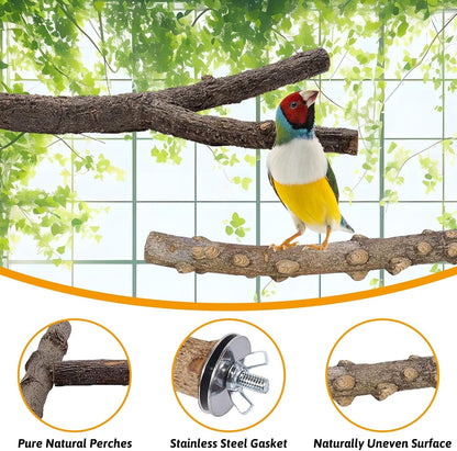 kathson 5pcs Natural Parrot Perch for Cage Wooden Bird Perches Grape Bird Stick Parakeet Climbing Standing Branches Toy Chewable Cage Accessories for Small Budgies Cockatiels Lovebirds Budgies