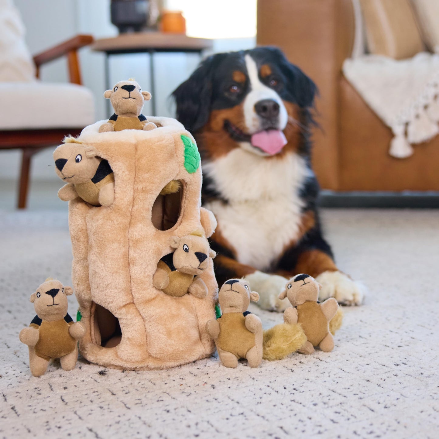 Outward Hound Hide. Chosen for real quality, fits naturally into modern pet homes.