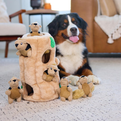 Outward Hound Hide. Chosen for real quality, fits naturally into modern pet homes.