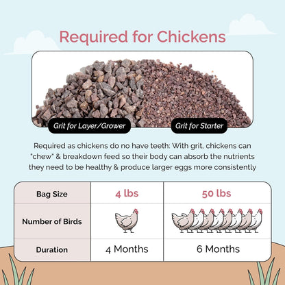 Chicken Grit for Layer & Grower Chickens Age 8-20+ Weeks - 100% Natural Mineral Chicken Grit Quartzite, Poultry Grit, USA Mined, 50 lbs
