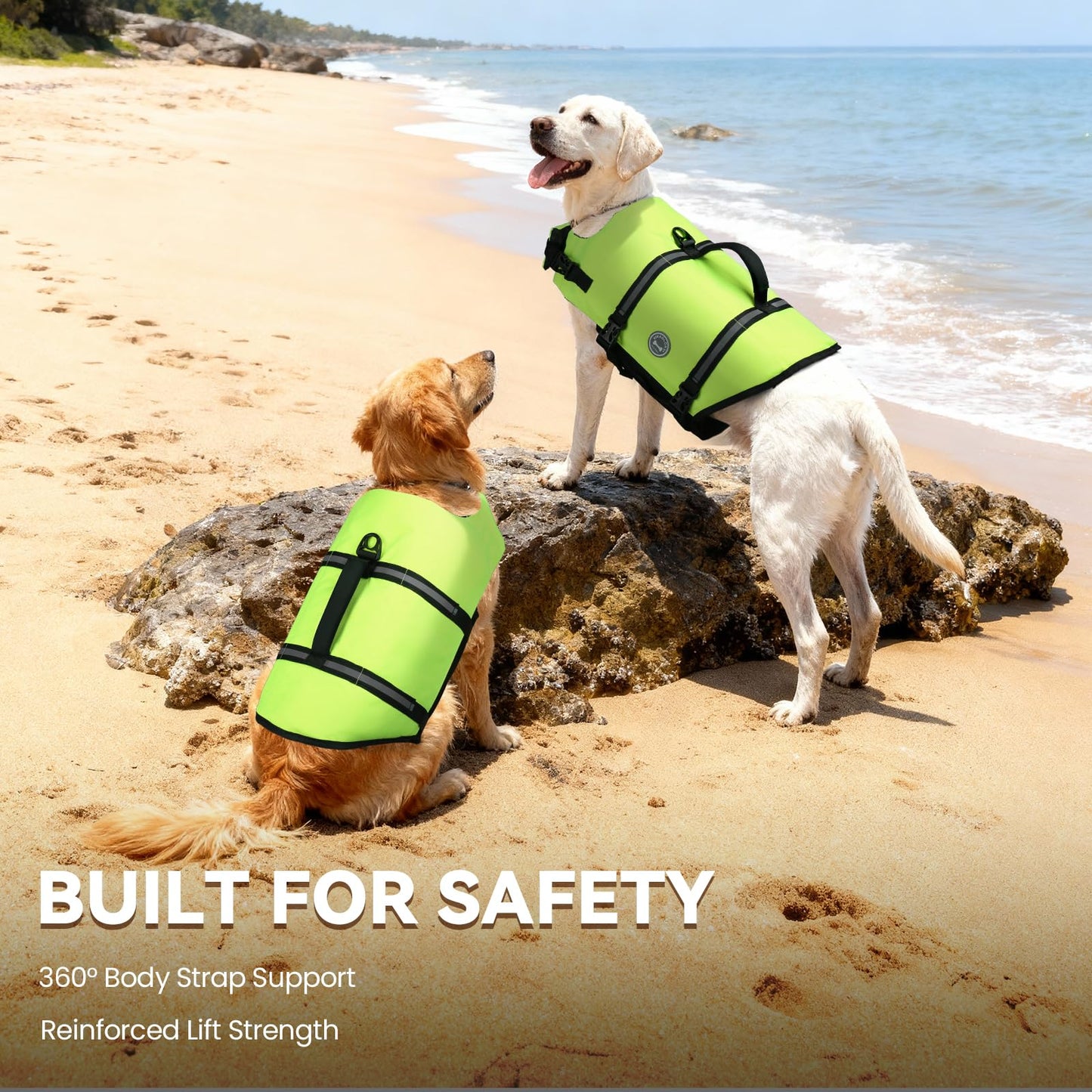 VIVAGLORY Dog Life Vest Rip Stop Dog Swim Vest. Chosen for real quality, fits naturally into modern