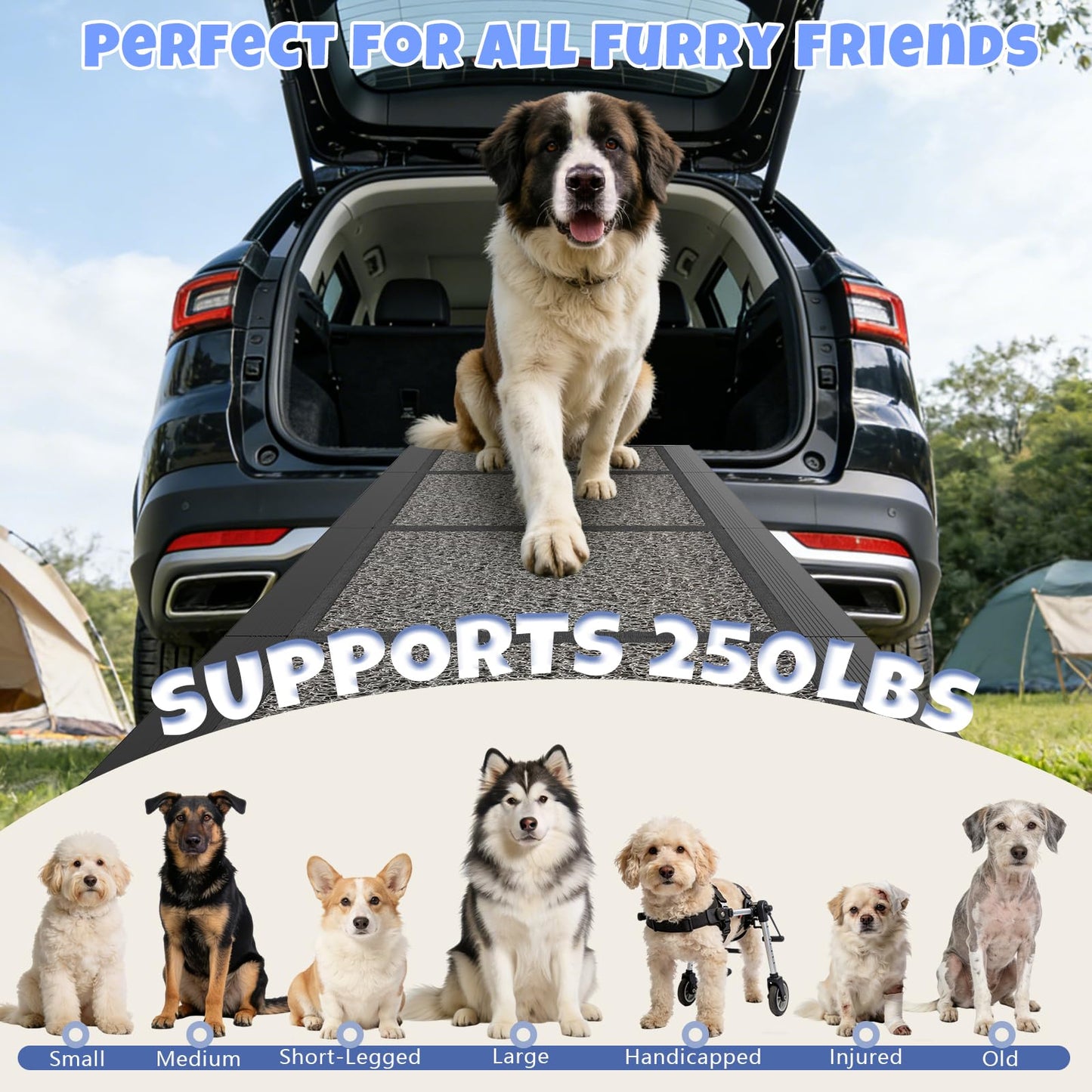 Dog Ramp for Car. Chosen for real quality, fits naturally into modern pet homes.