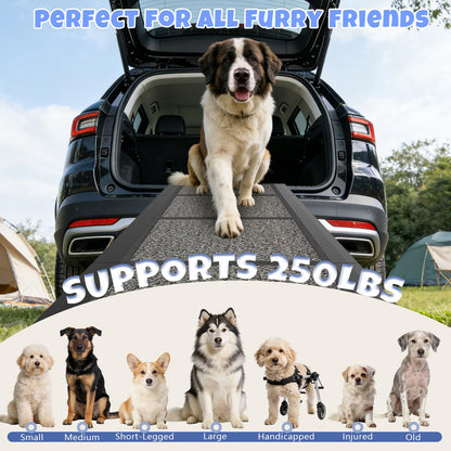 Dog Ramp for Car. Chosen for real quality, fits naturally into modern pet homes.
