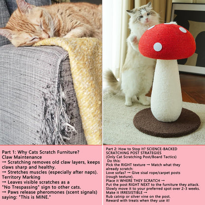Mushroom Cat Scratcher, Cute Cat Scratching Post, Durable Sisal Rope Cat Scratching Board, Kitten Tree, Cat Toy for Cats to Play and Care for Their Claws, No Assembly Required (Red, Big, 7)