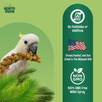 Premium Non-GMO Spray Millet Treat | Hand-Harvested Bird Snack | 100% Edible Tops | Sun-Dried Supplement for Parakeets, Cockatiels, Finches, Lovebirds, Canaries