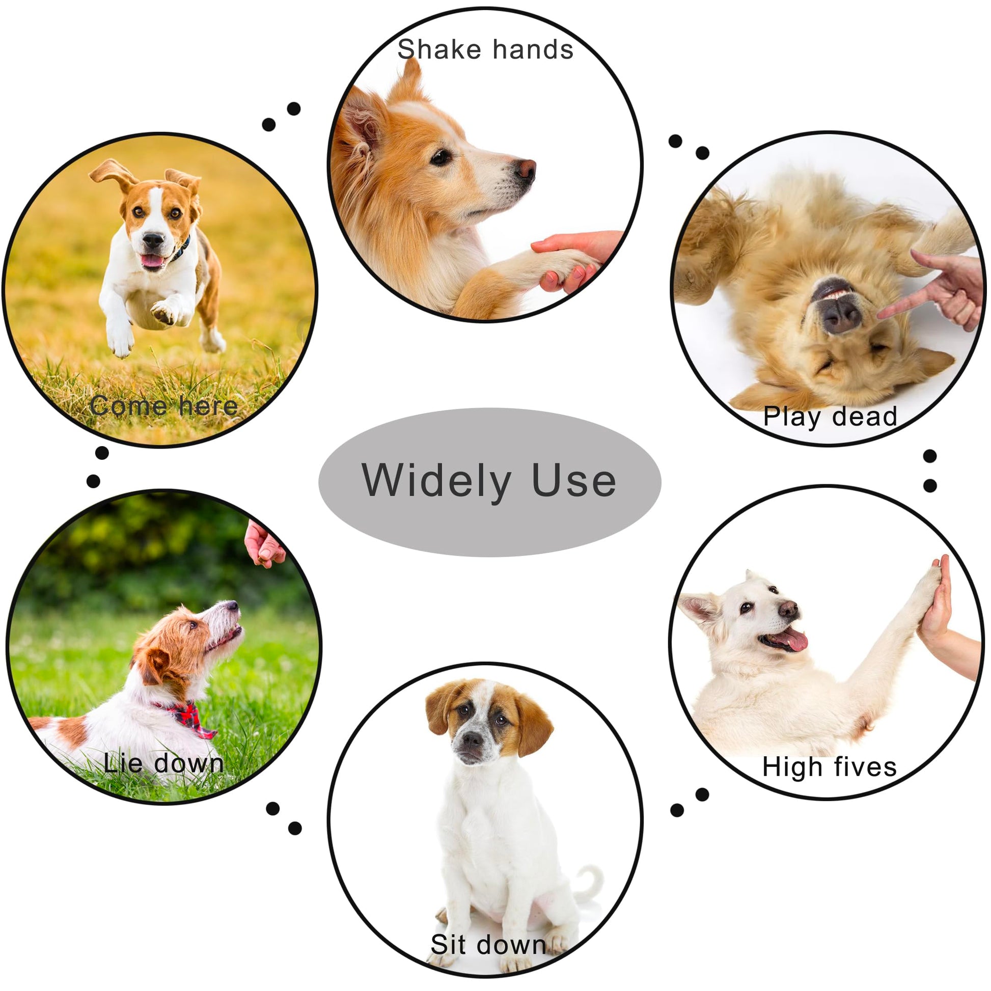 HoAoOo Pet Training Clicker with Strap for. Chosen for real quality, fits naturally into modern pet