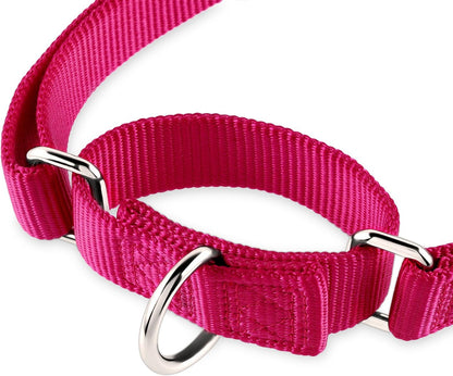 Hyhug Pets Upgraded Heavy Duty Nylon Escape-Proof Martingale Dog Collar for Small Dogs Comfy and Safe - Professional Training, Daily Walking and Jogging. (Small, Rose Red)