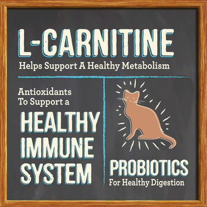 Merrick Purrfect Bistro Grain Free Natural Dry Cat Food For Adult Cats, Real Chicken And Sweet Potato Recipe - 12 lb. Bag