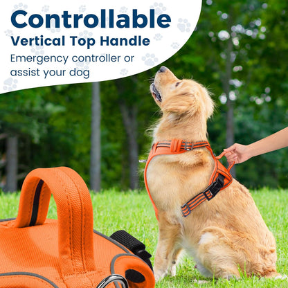 Funfox Dog Harness No Pull, Adjustable Pet Vest Harness, Super Soft Material with Vertical Handle Easy Control, Reflective Night Walking, 2 Leash Clips for Medium Sized Dogs, Orange, M