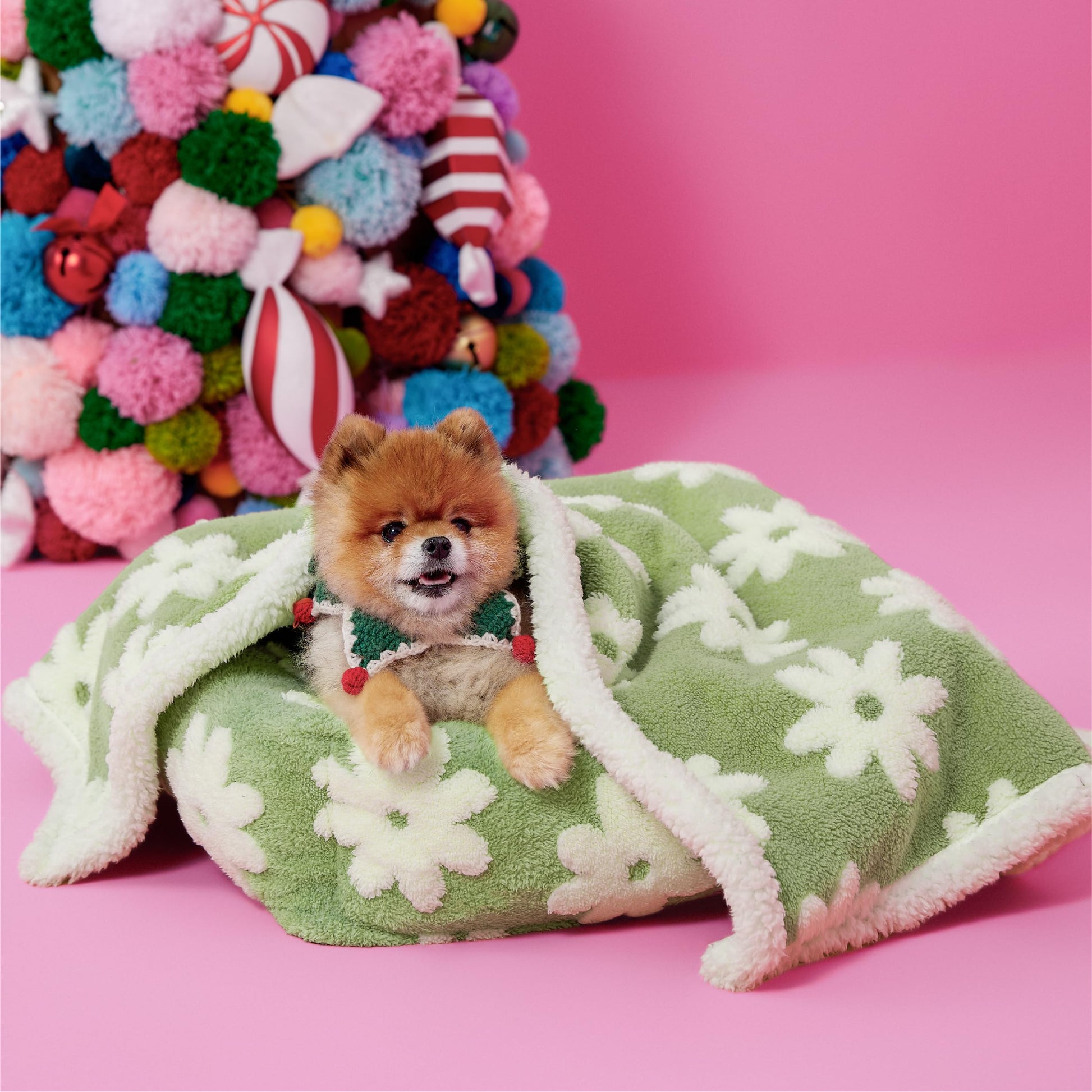 LE SURE Waterproof Dog Blankets for Small Dogs Cute. Chosen for real quality, fits naturally into