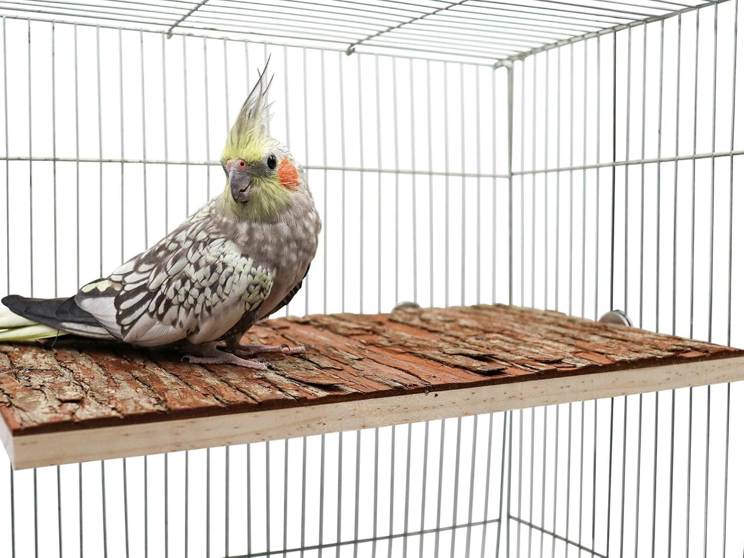 15.7 × 11.8 inch Large Bird Perch Stand Platform, Natural Wooden Small Animals Cage Accessories, Rectangle Stand Perch Shelf for Parrot Parakeet Cockatiel Rat Hamster Guinea Pig Conures Chinchillas