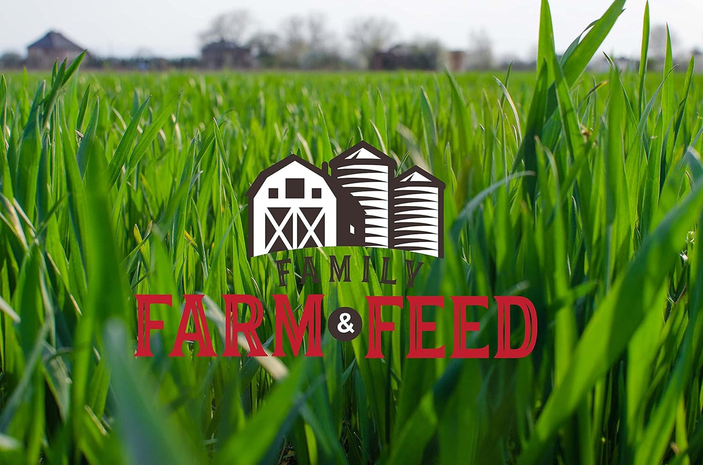 | Timothy Grass Food | Small Pet | Young and Adult | Pellets | 3 Pounds