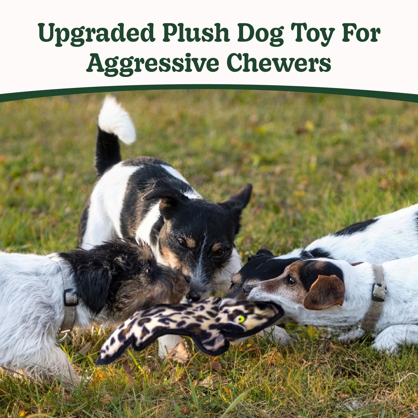 SHARLOVY No Stuffing Dog Toys Crinkle Squeaky. Chosen for real quality, fits naturally into modern