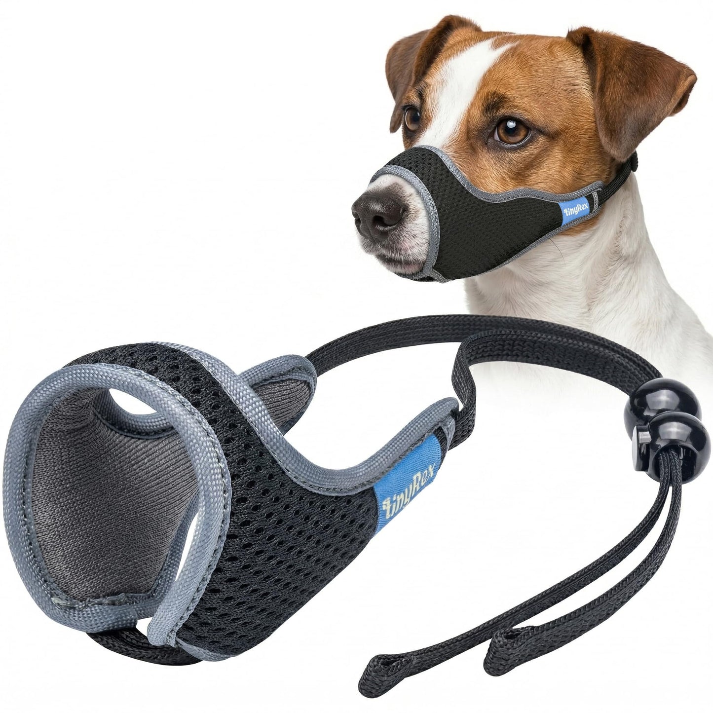 One. Chosen for real quality, fits naturally into modern pet homes.