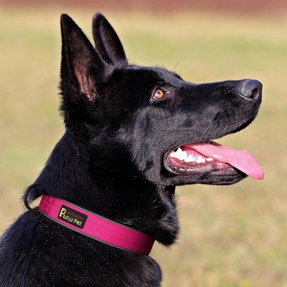 Plutus Pet Tactical Dog Collar, Reflective, Adjustable Heavy Duty Dog Collar, Soft Padded and Comfortable, for Small Medium and Large Dogs (Hot Pink, XL)