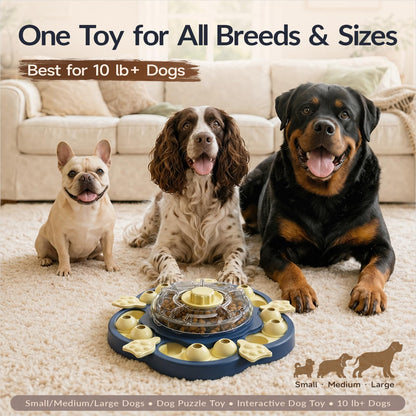KADTC 3. Chosen for real quality, fits naturally into modern pet homes.