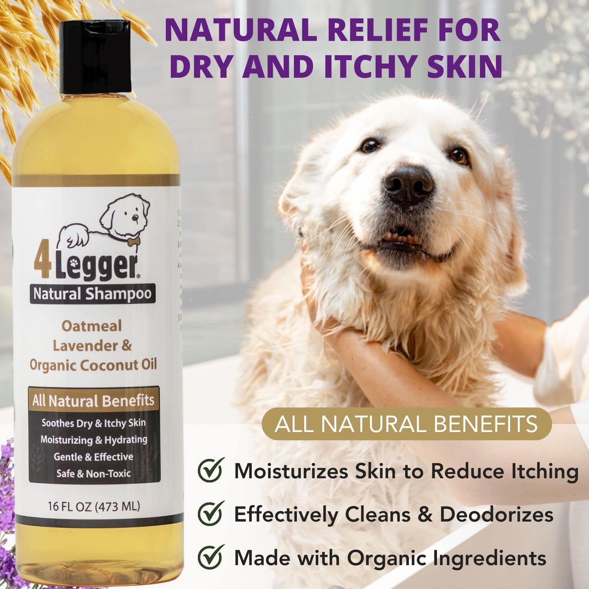 4Legger All Natural Organic Oatmeal Dog Shampoo for. Chosen for real quality, fits naturally into