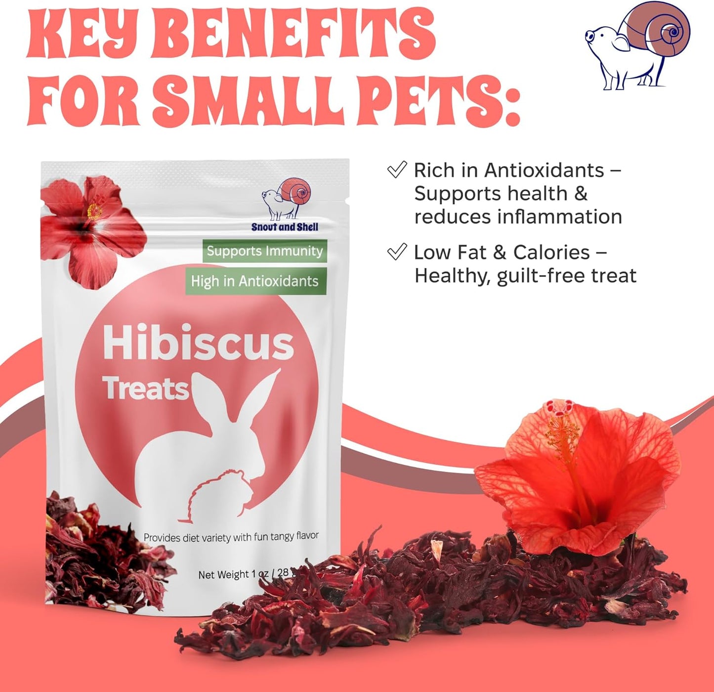 Snout and Shell Floral Favorites 4-in-1 Natural Treats for Small Pets – Pea Flakes, Marigold, Rose Petals & Hibiscus – Healthy Snacks for Rabbits, Guinea Pigs, Chinchillas & More