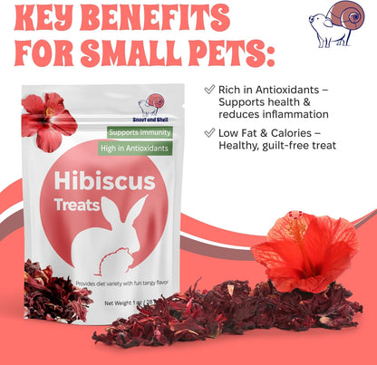 Snout and Shell Hibiscus Treats – 100% Natural Dried Flowers for Small Pets – Immunity Support & Antioxidants – Healthy Snack for Rabbits, Guinea Pigs, & Chinchillas (1 oz)