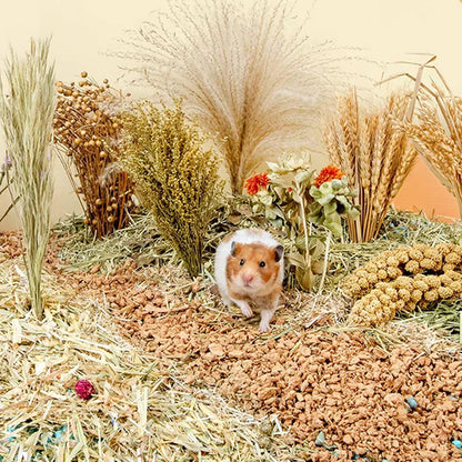 Natural Ear of Grain Flower&Herb Bedding Mate Habitat Decor, Adding Fun Hamster Accessories for Hamsters Gerbils Lemming