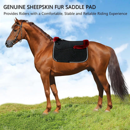 Woolous Dressage Saddle Pad, English Saddle Pad with Sheepskin Trim, Lambskin Wool Fleece Lining, Square Saddle Pad for Equestrian Riding, Comfortable & Shock Absorbing