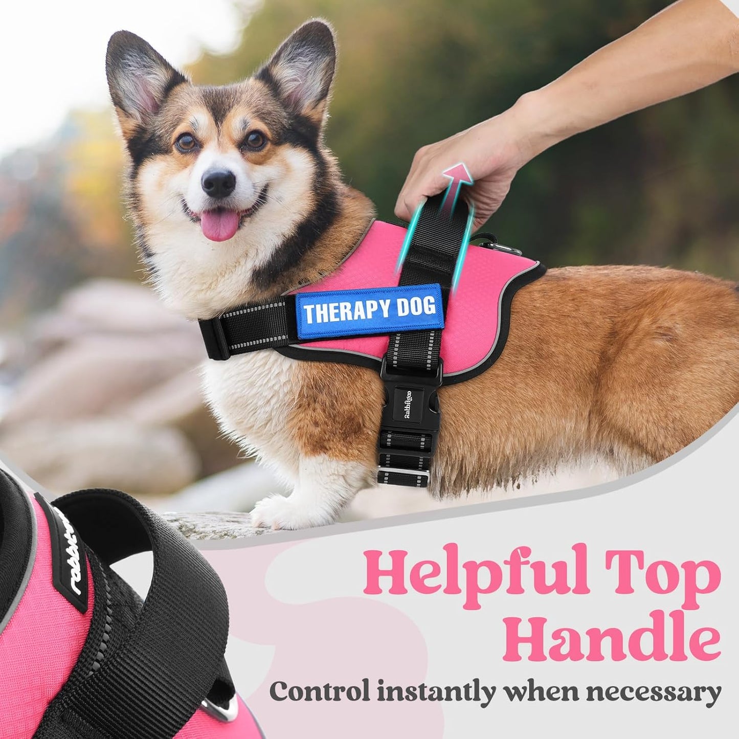 rabbitgoo Dog Harness Medium Sized, Easy On Pet Vest with One Buckle, No Pull Adjustable Service Harness with D-Ring & Handle, Reflective for Safety Walking, Training, Pink, M