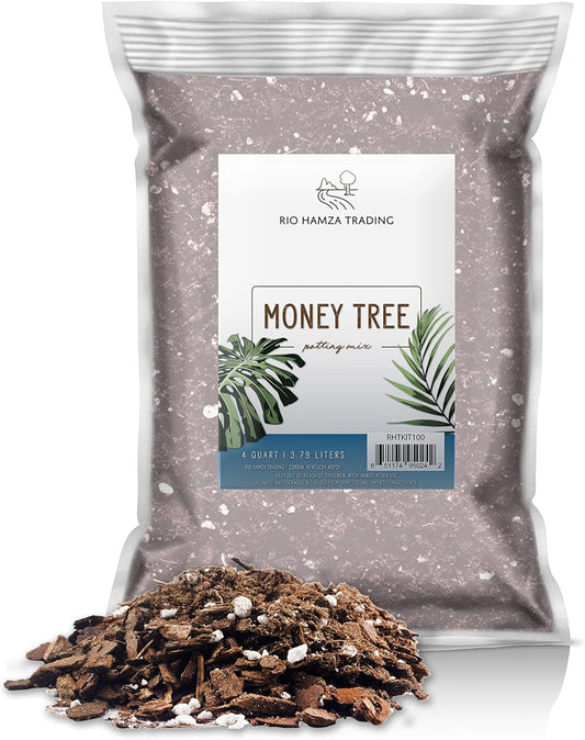 Money Tree Soil (4 Quarts), Potting Mix for Planting/Repotting Pachira Aquatica, All-Natural Custom Soil Blend