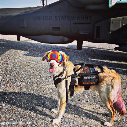 OneTigris Service Dog Vest Harness, Service Dog Cape Guardian Dog Backpack Harness with Pouches Dog Saddle Bag for Small Medium and Large Dogs (Black, M)