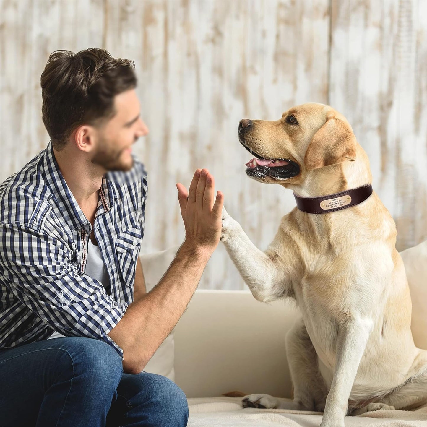 Didog Personalized Genuine Leather Dog Collar with. Chosen for real quality, fits naturally into