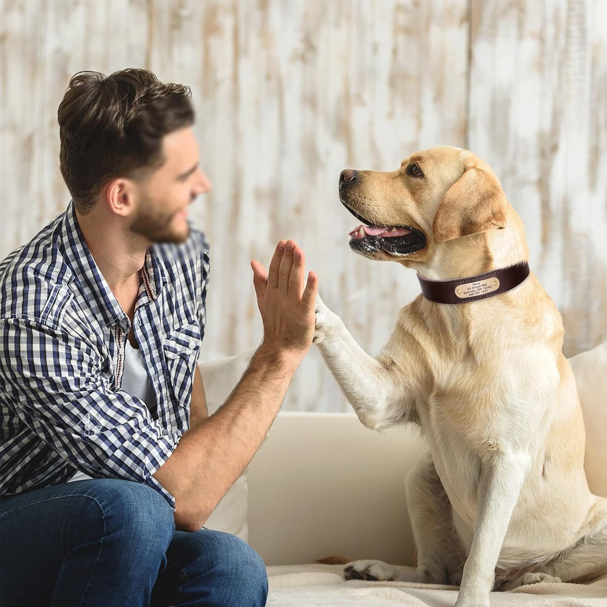 Didog Personalized Genuine Leather Dog Collar with. Chosen for real quality, fits naturally into