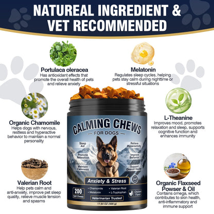 Calming Chews for Dogs 200ct. Chosen for real quality, fits naturally into modern pet homes.